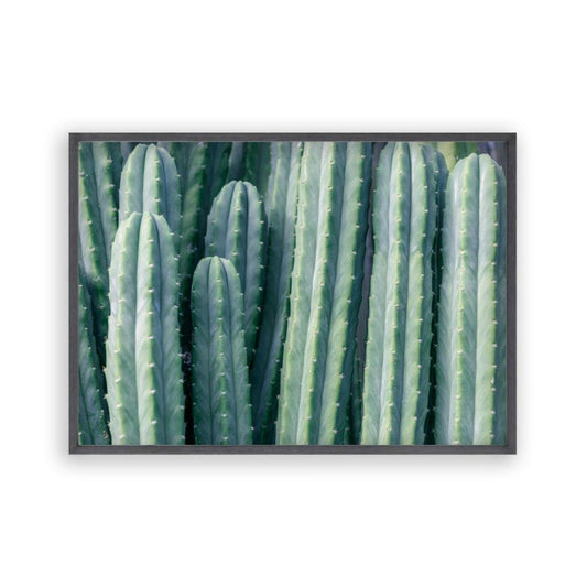 Cactus Print - Blim & Blum