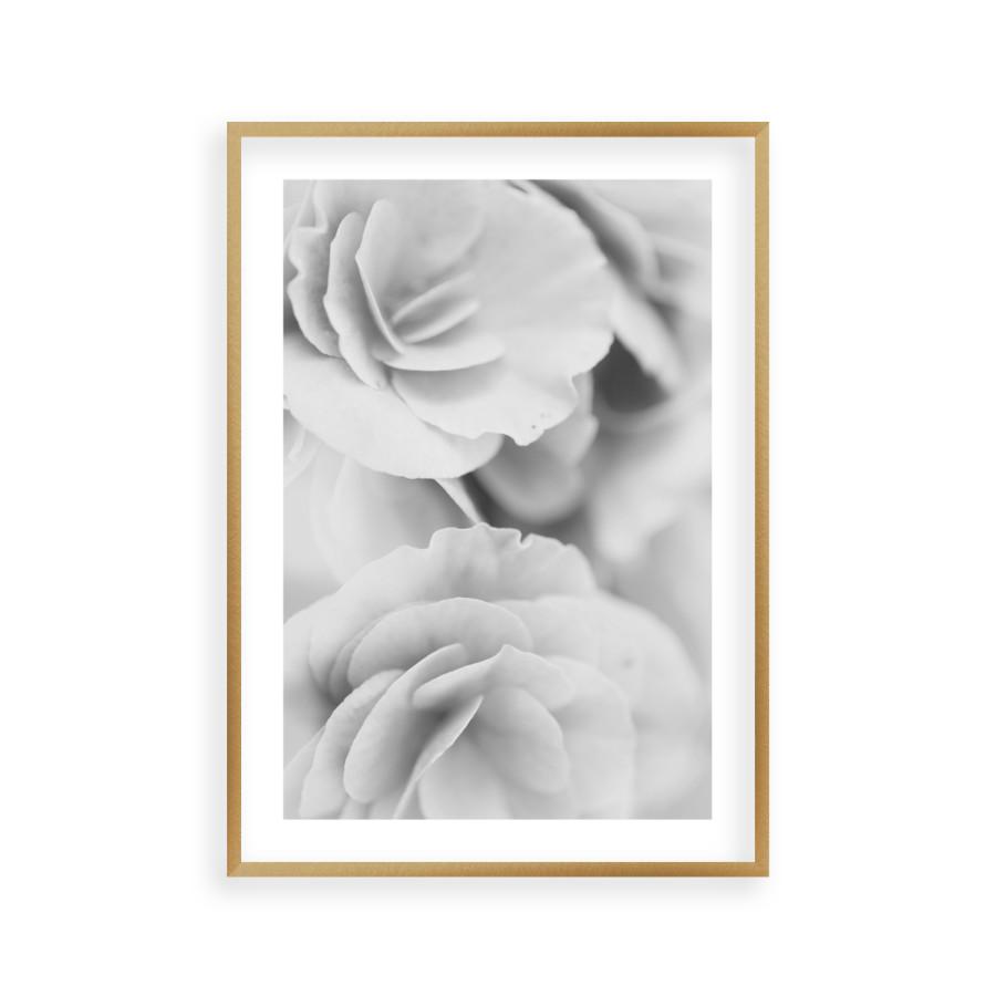 Dusty Rose B&W Print - Blim & Blum