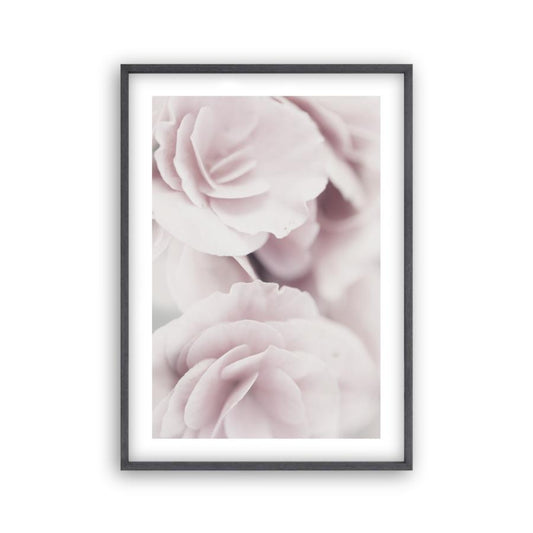 Dusty Rose Print - Blim & Blum