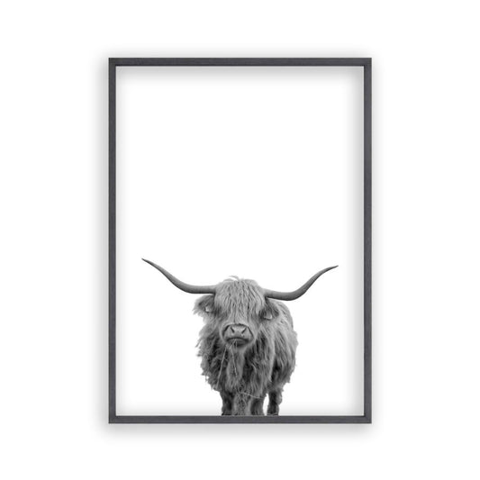 Highland Cow Print