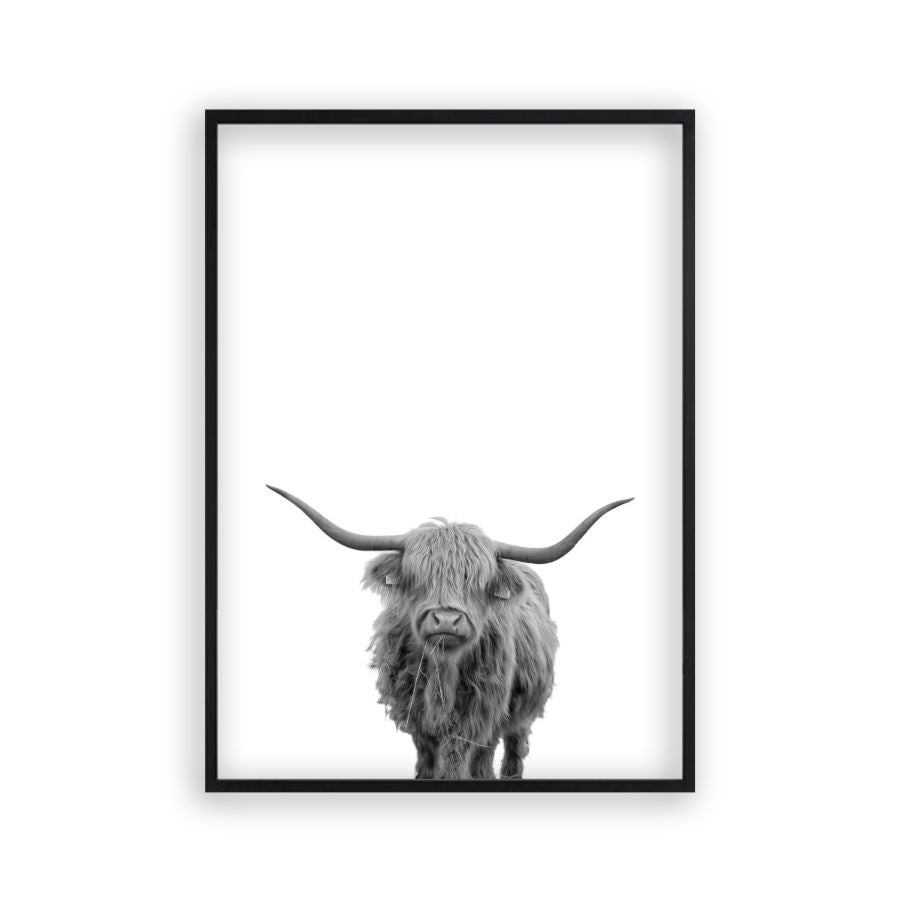 Highland Cow Print