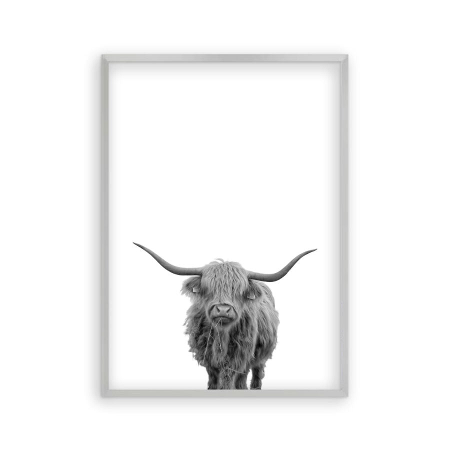 Highland Cow Print