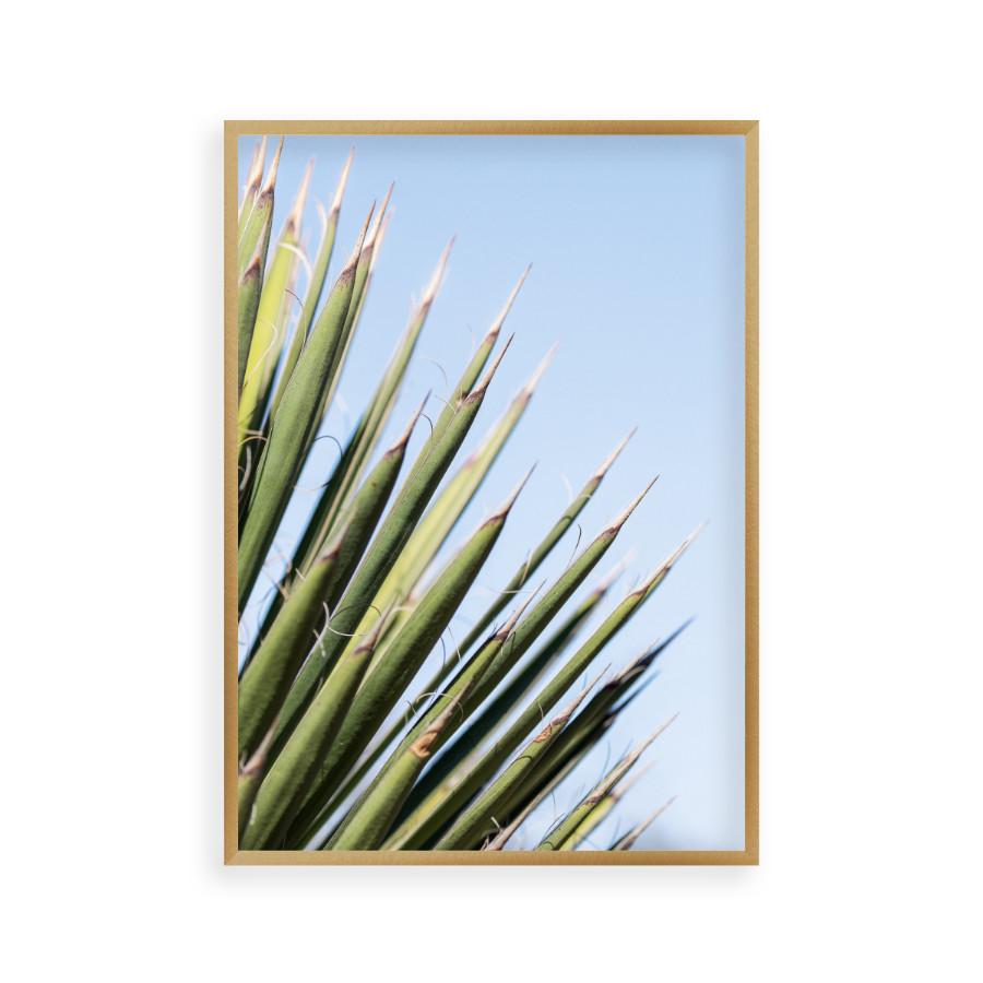 Palm Leaves Print - Blim & Blum