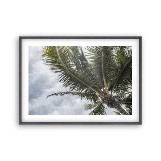 Palm Tree Print - Blim & Blum