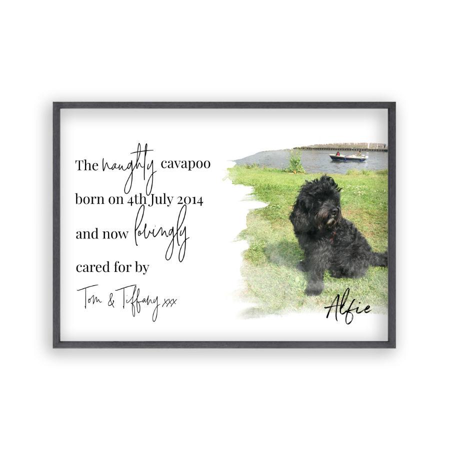 Personalised Pet Photo Print - Blim & Blum