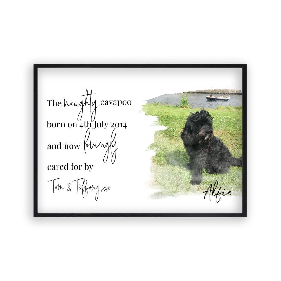 Personalised Pet Photo Print - Blim & Blum