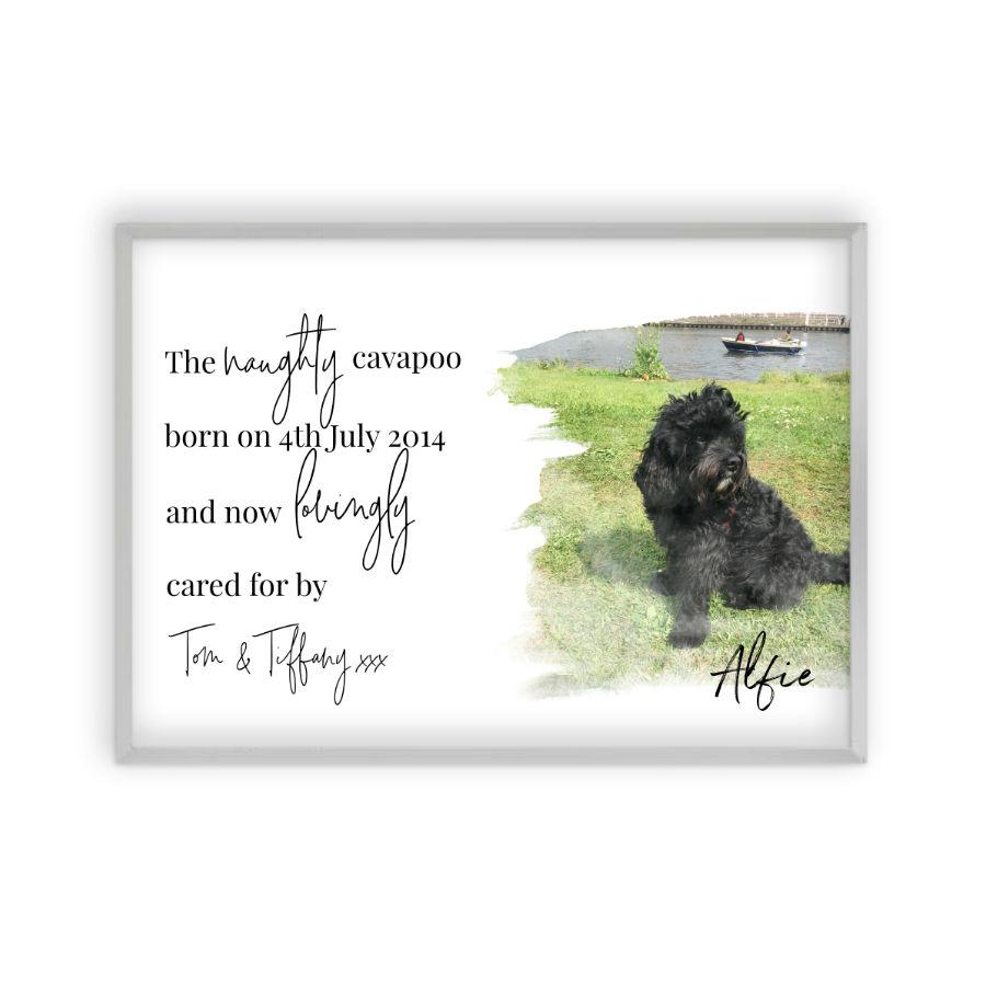 Personalised Pet Photo Print - Blim & Blum