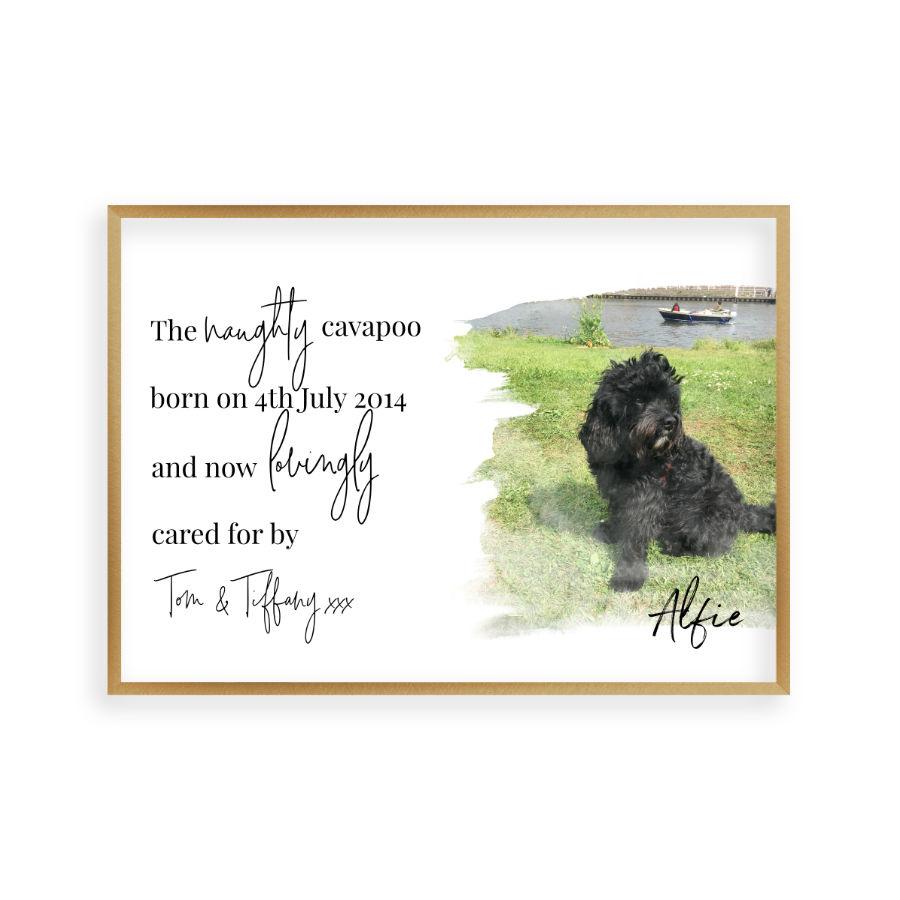 Personalised Pet Photo Print - Blim & Blum