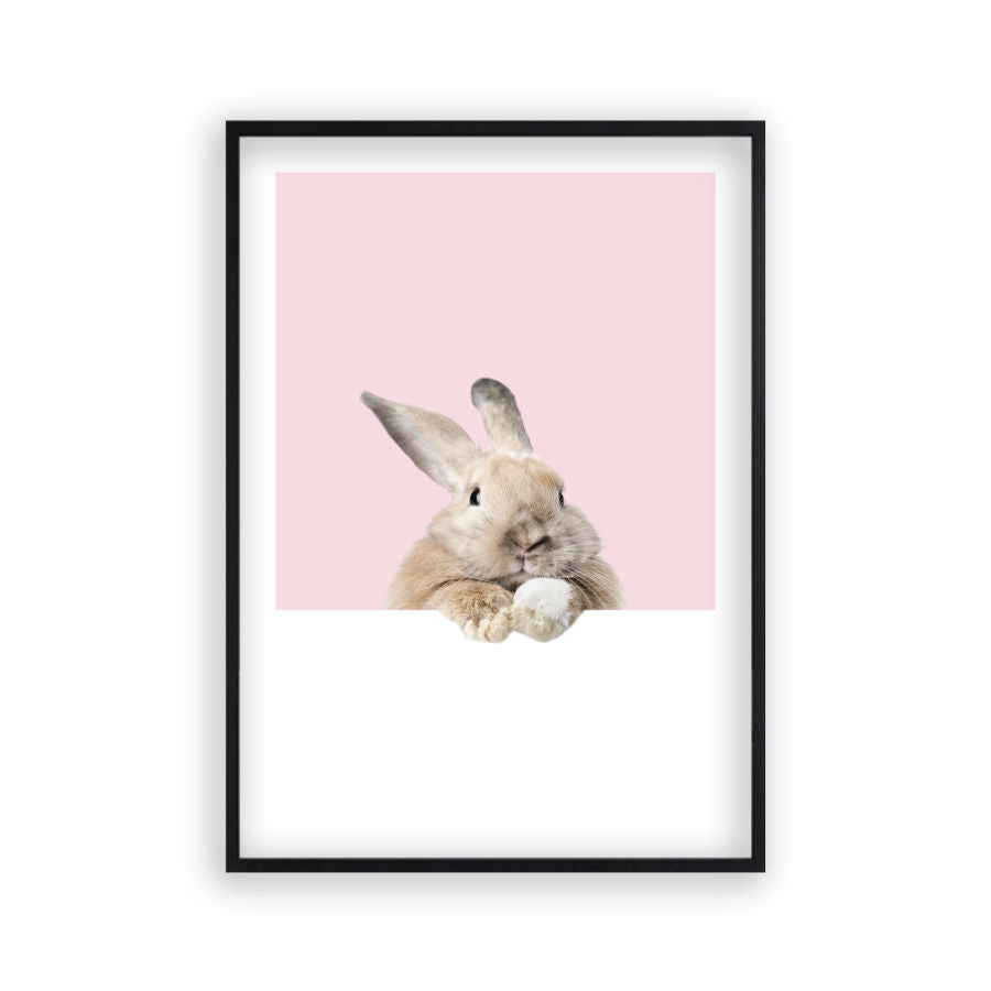 Rabbit Peeking Print