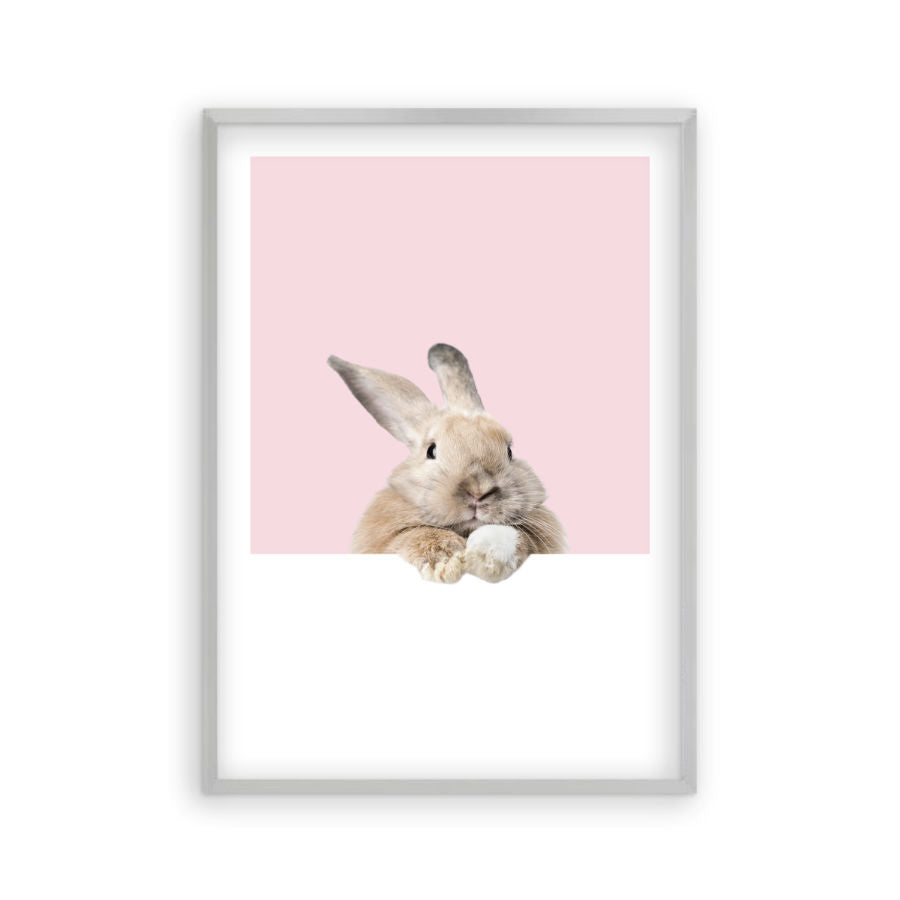 Rabbit Peeking Print