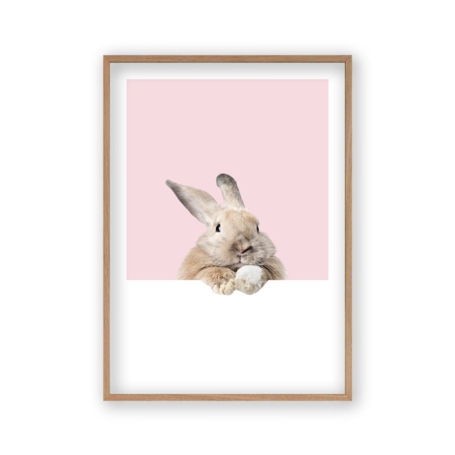 Rabbit Peeking Print
