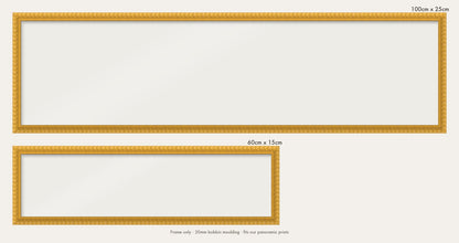 Yellow bobbin panoramic frame shown in both sizes, 60cm x 15cm and 100cm x 25cm
