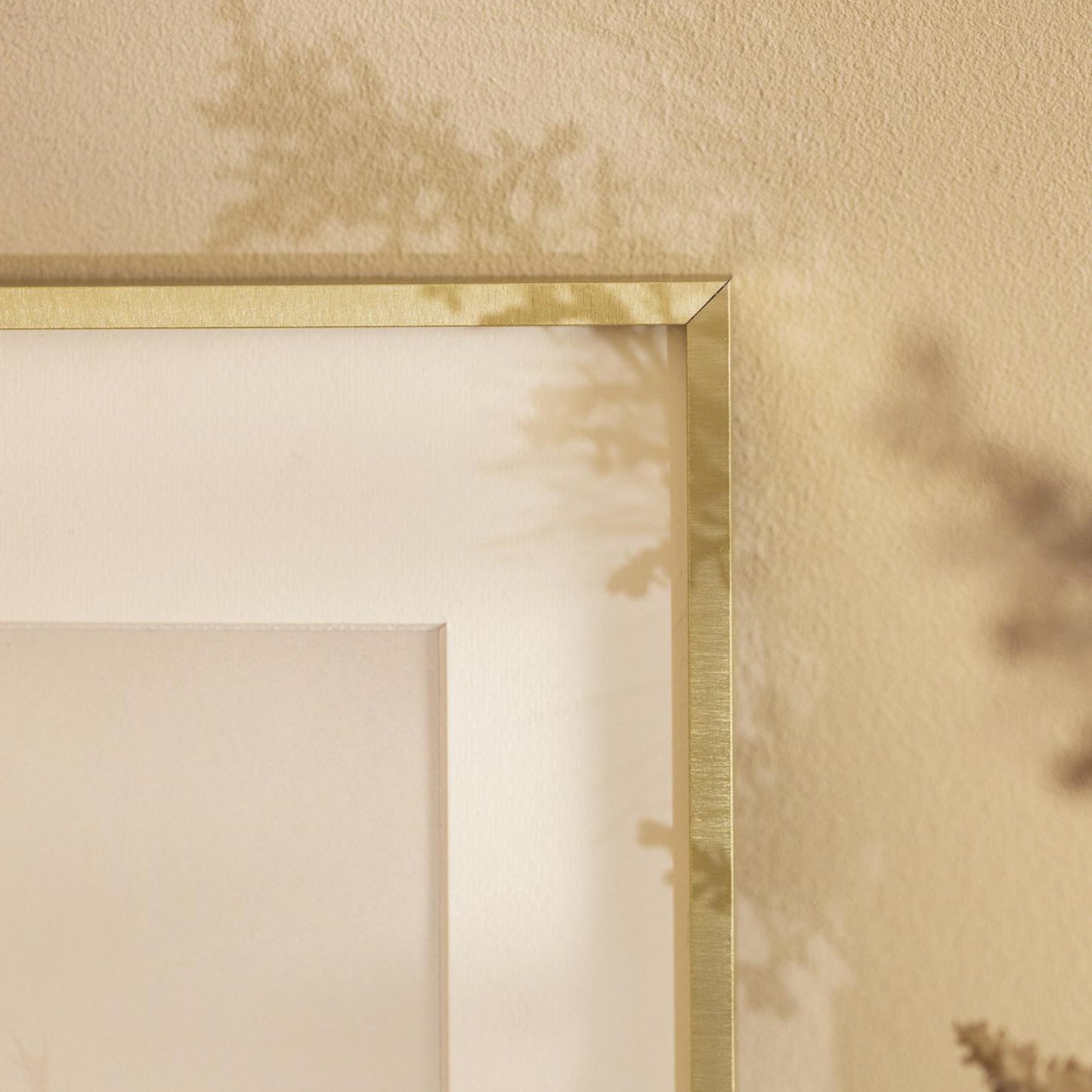 Nielsen Alpha Brushed Champagne Gold Frame