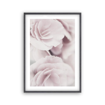 Dusty Rose Print - Blim & Blum