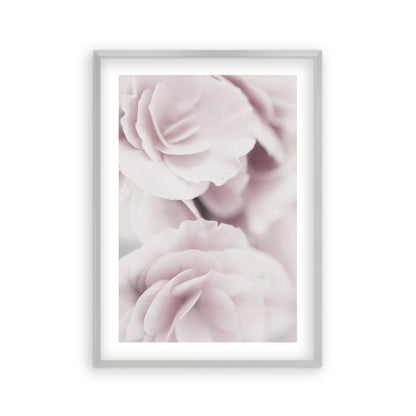 Dusty Rose Print - Blim & Blum