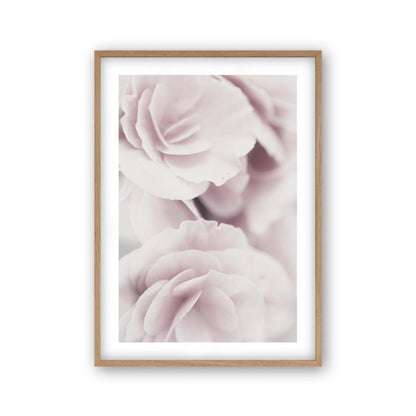 Dusty Rose Print - Blim & Blum
