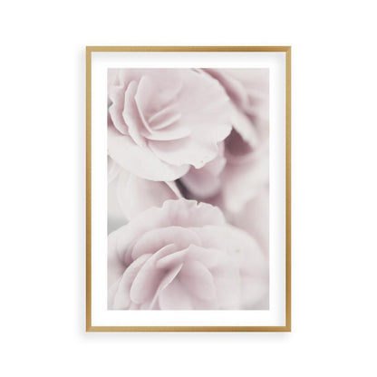 Dusty Rose Print - Blim & Blum