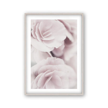 Dusty Rose Print - Blim & Blum