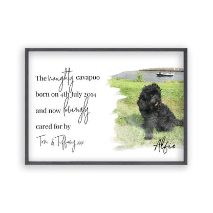 Personalised Pet Photo Print - Blim & Blum