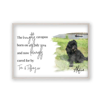 Personalised Pet Photo Print - Blim & Blum