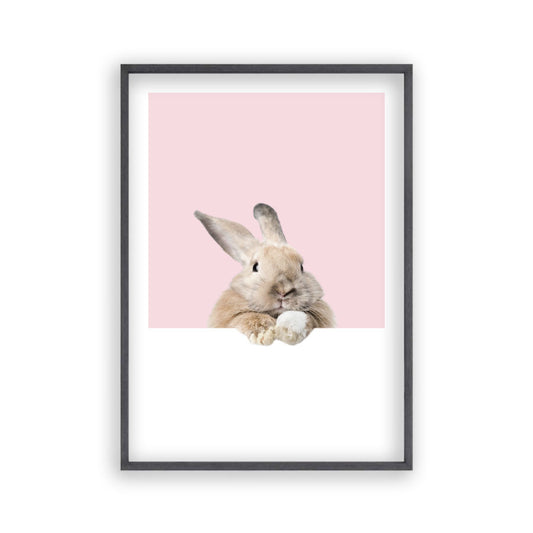 Rabbit Peeking Print