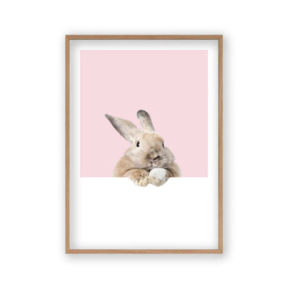 Rabbit Peeking Print