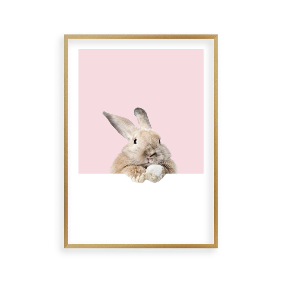 Rabbit Peeking Print