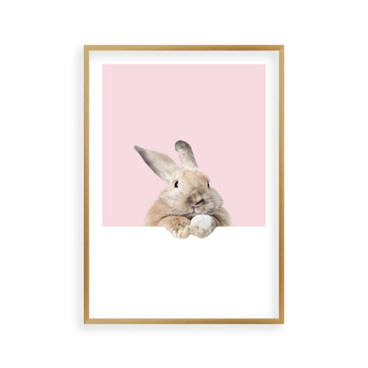 Rabbit Peeking Print
