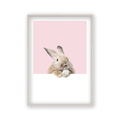 Rabbit Peeking Print