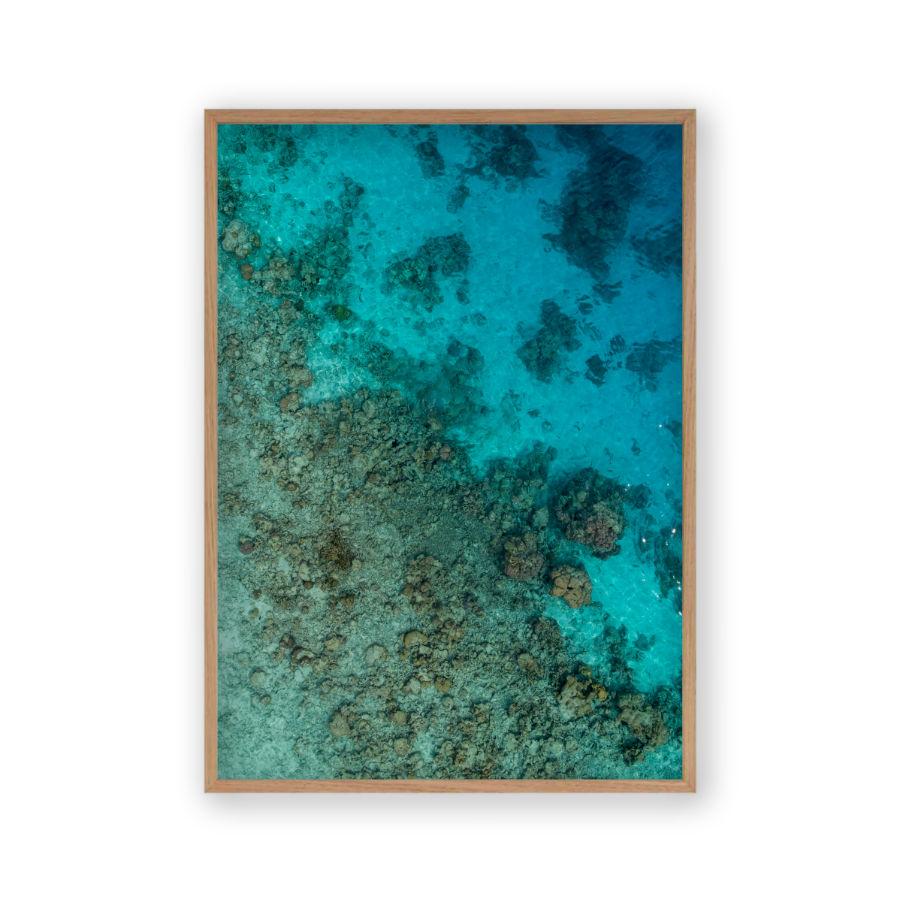 Sea Coral Reef Print - Blim & Blum
